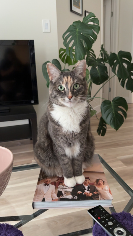 Entry image for Pudge. Clicking this image will show a larger photo