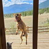 Entry image for Remy and Elsie 
