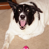 Entry image for Betty