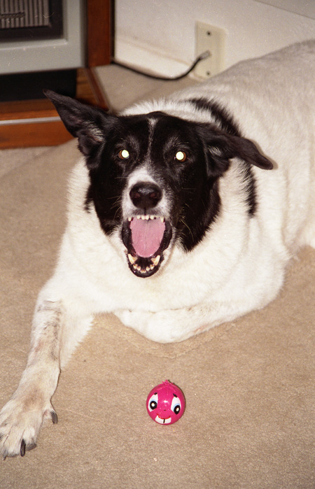 Entry image for Betty. Clicking this image will show a larger photo