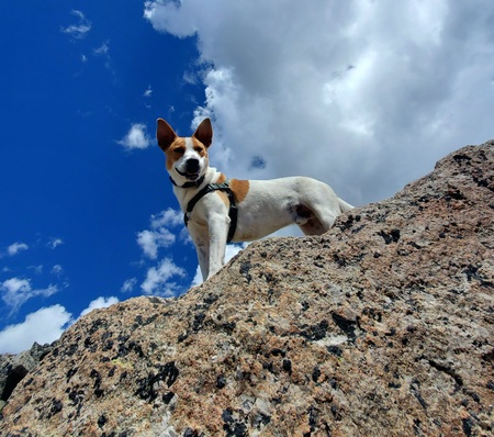 Entry image for Ueli. Clicking this image will show a larger photo