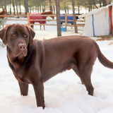 Entry image for Yona