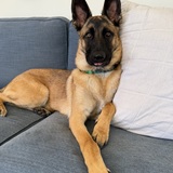 Entry image for Miles