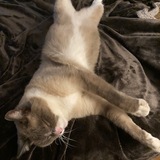 Entry image for Big Boy