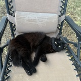 Entry image for Nova