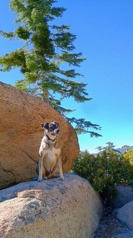 Zuko