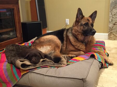 Josephine & Mitzi