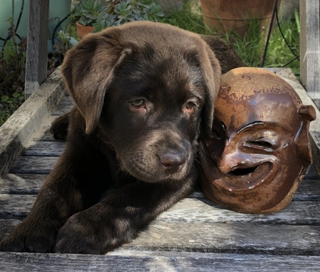 Josephine 
