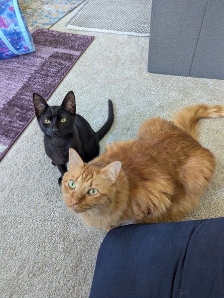 Garrus and Muggy