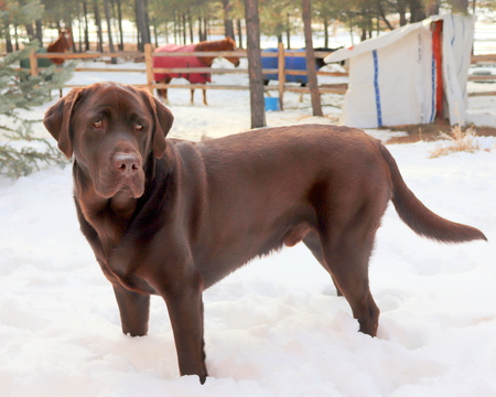 Entry image for Yona. Clicking this image will show a larger photo