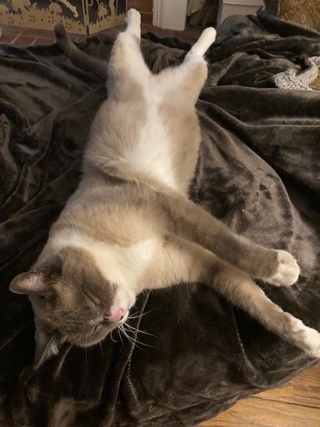 Entry image for Big Boy. Clicking this image will show a larger photo