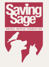 Logo for Dogs of Fort Lauderdale Calendar Contest