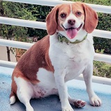 Entry image for Chloe 