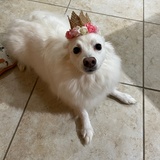 Entry image for Chloe