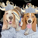 Entry image for Winston & Hope 