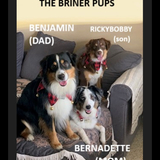 Entry image for Benjamin, Bernadette, Ricky Bobby
