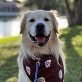 Entry image for Toby
