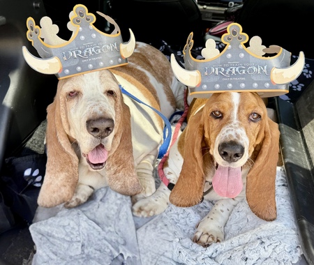 Entry image for Winston & Hope . Clicking this image will show a larger photo