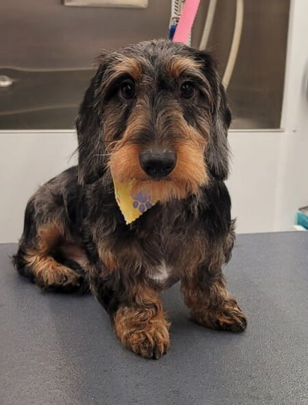 Entry image for Lloyd . Clicking this image will show a larger photo