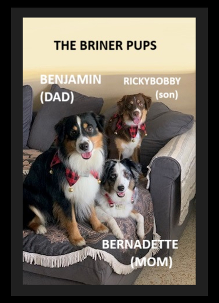 Entry image for Benjamin, Bernadette, Ricky Bobby. Clicking this image will show a larger photo