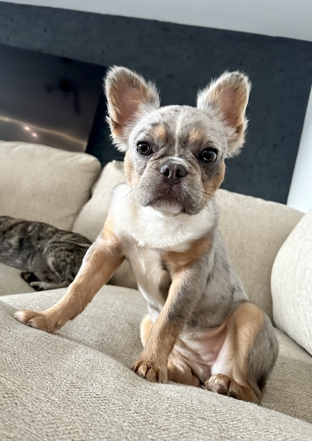 Entry image for Remi. Clicking this image will show a larger photo