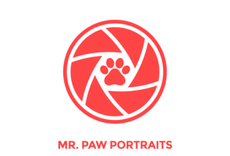 https://www.mrpawportraits.com/