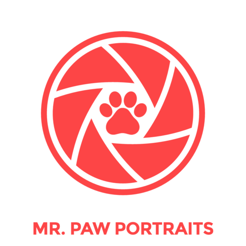 https://www.mrpawportraits.com/