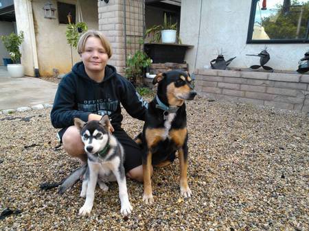 Cato (husky) Kilo (Rotti Mix) Kris (Son)