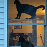 Entry image for Hansel and Gretel