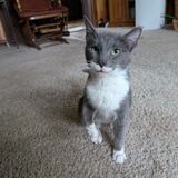 Entry image for Claire