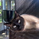 Entry image for Blue