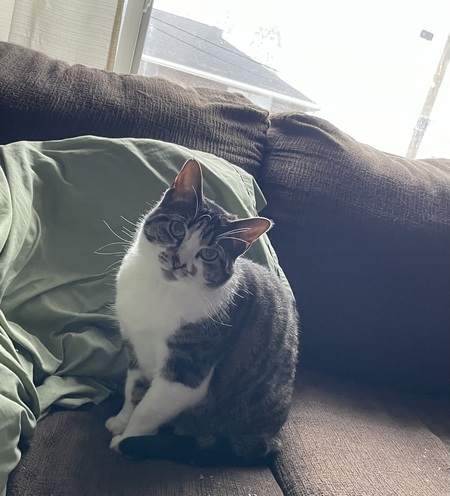 Rosie