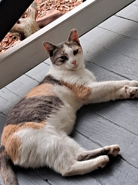 POSIE
