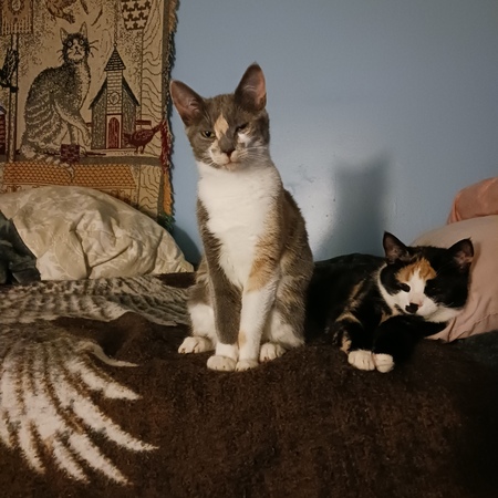 Cammi & Amber