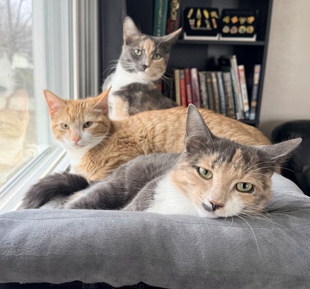 Entry image for Cappuccino, Macchiato, & Chai. Clicking this image will show a larger photo