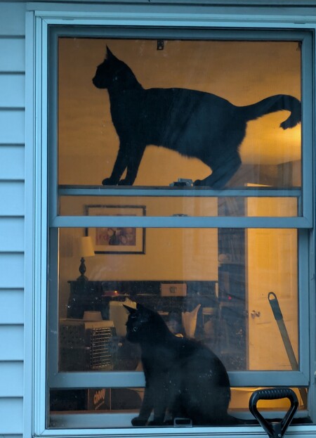 Entry image for Hansel and Gretel. Clicking this image will show a larger photo