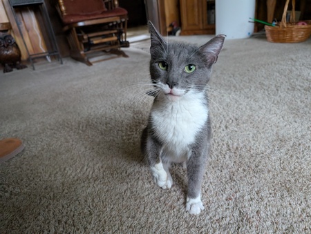 Entry image for Claire. Clicking this image will show a larger photo