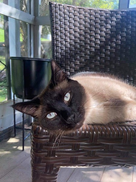 Entry image for Blue. Clicking this image will show a larger photo