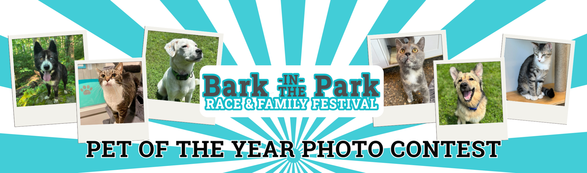 Banner for Animal Care Society's Pet of the Year Contest!