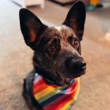 Entry image for Tuck