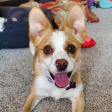 Entry image for Chloe