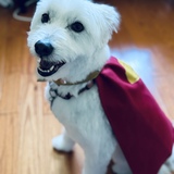 Entry image for Ghost