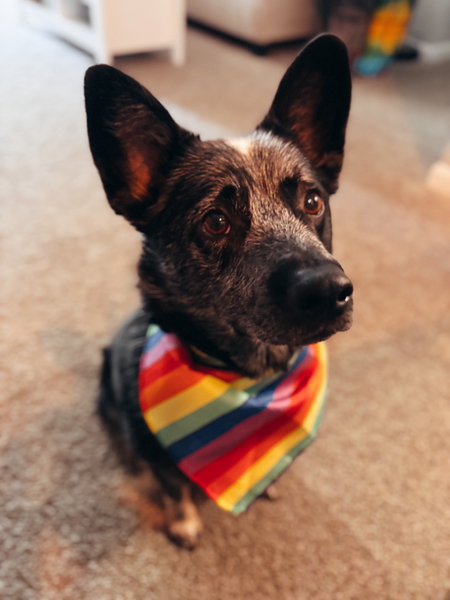 Entry image for Tuck. Clicking this image will show a larger photo