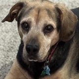 Entry image for Zeus