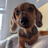 Entry image for Milton 