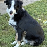 Entry image for Desiel