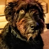 Entry image for Tonka