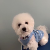 Entry image for April