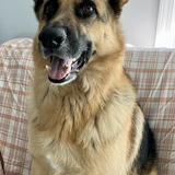 Entry image for Harry
