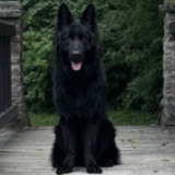 Entry image for Void